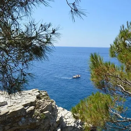 In - Istrien 10864 פולה