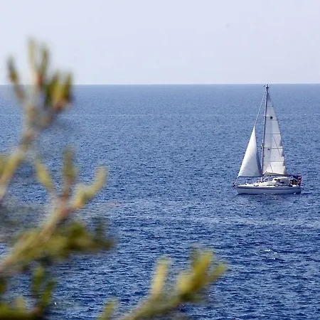 In - Istrien 10864 *