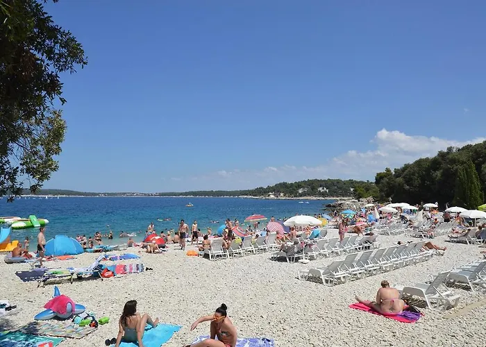 Apartment In - Istrien 10864 *